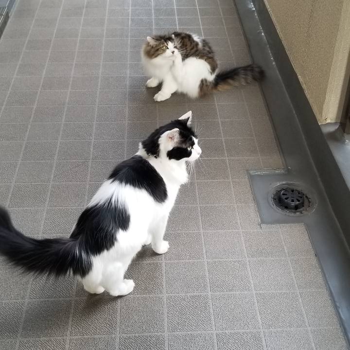 Abce1d97 9856 47f4 8dd0 20f046927f82 1586570477885