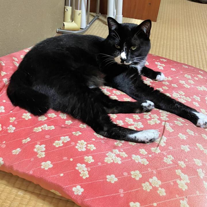 Abce3463 48c2 41ad 815a 6822a999cf3f 1758685905492