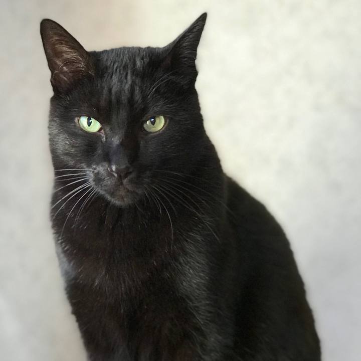 Abce4050 fddf 4d85 b5a2 4a1df29566a2 1512696940626