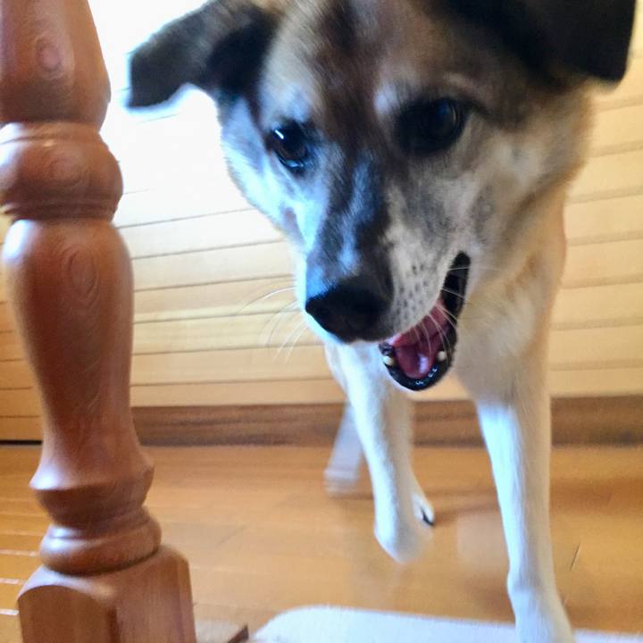 Abceeb30 e065 4bbd 958b b02abf34757d 1567990586153