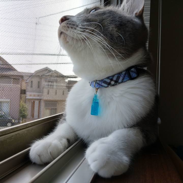 Abcf09ad a3bc 4078 a450 6a5e869e6399 1597975593644