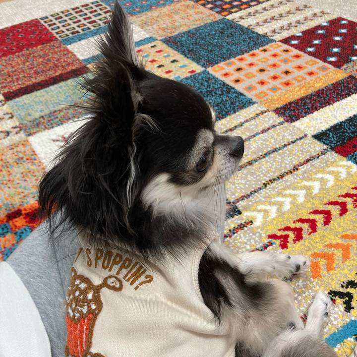 Abcf0e92 89c0 4097 b2e4 b1e75fda8e24 1704021772701