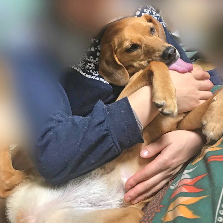 Abcf1668 58f6 4fb0 9b29 7bd5cdb847f6 1520854801718