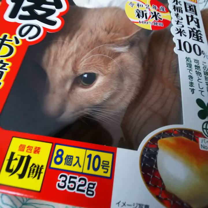 Abcf1cfd 2003 4917 9600 14f915592c7f 1609456578856