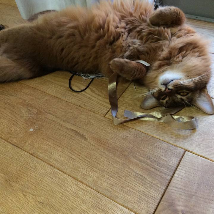 Abcf8972 e70e 4a5e acd8 6f19de1ec062 1598922549046