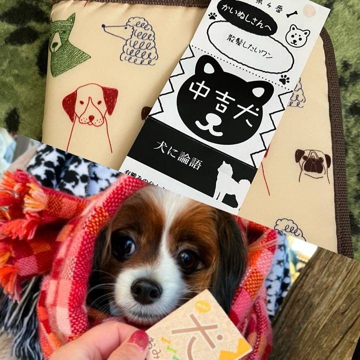 Abd01332 a9cb 4fef b31b 6c3aaf7ea1a9 1735873725213