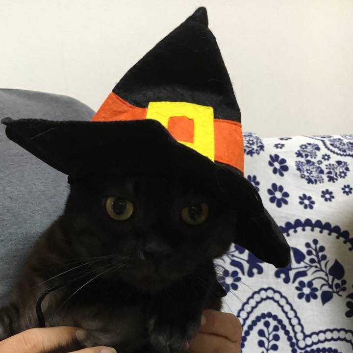 Abd02f64 96bd 4a7b 9253 74b702af23e9 1572526959128