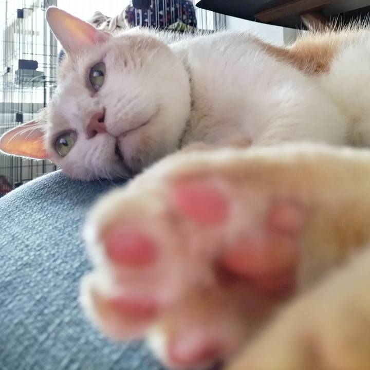 Abd053e3 4db2 4d09 b0c8 2dce1004b100 1693779719758