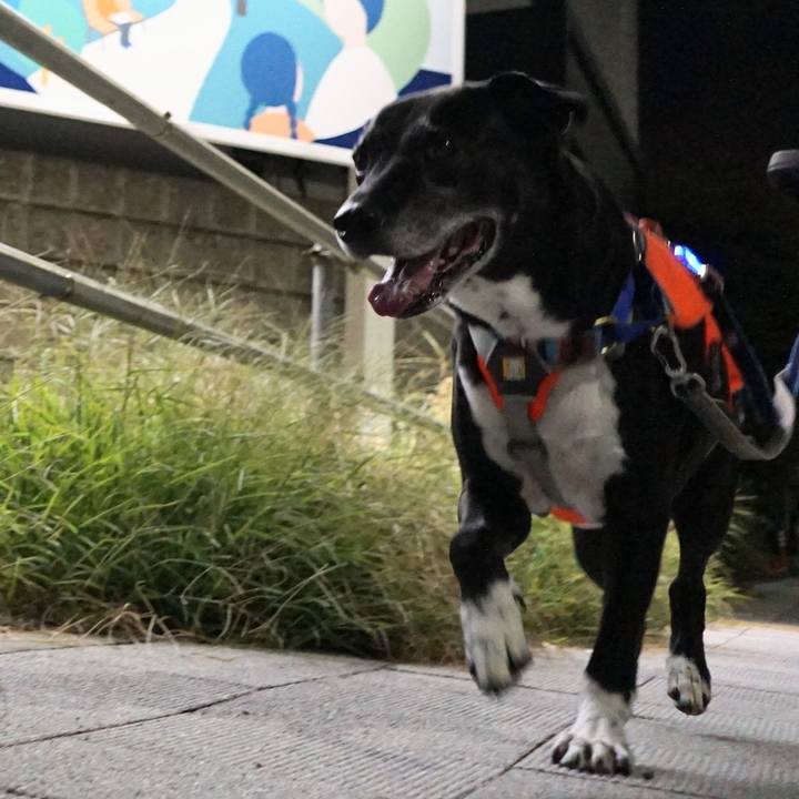 Abd0546f 9f4b 4247 90be b2d9a4a2065d 1758971533964