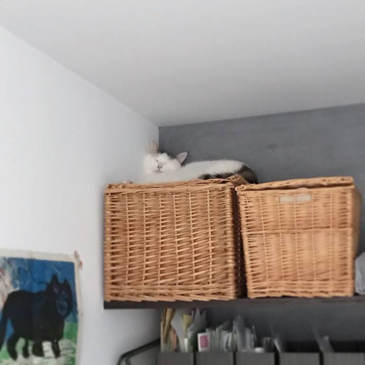 Abd059fa 5c99 4cef b2cb 63fabd00e27a 1562025019228