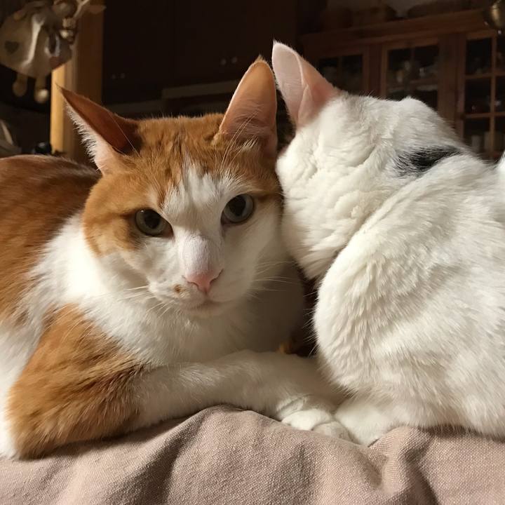 Abd05fab 9bf2 4582 90fd 8c55a408c610 1558865075562