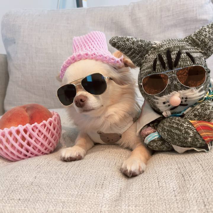 Abd0668c a2b7 4231 bed6 e39ee6b92a72 1691310759374