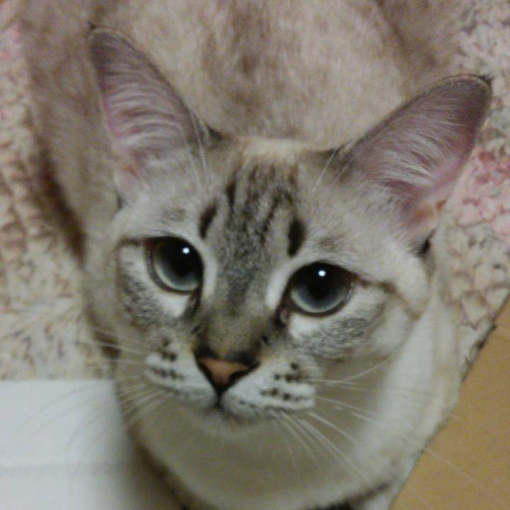 Abd07bf4 6cc9 4f6b bef8 70a09590d26f 1507291314904