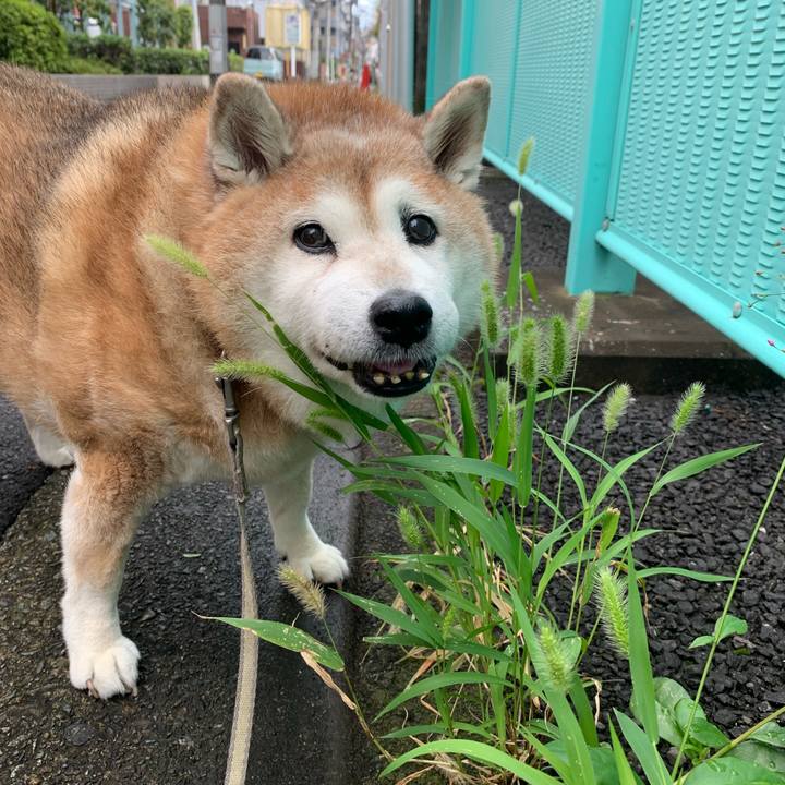 Abd081a6 9026 4fbd b536 8330bb67549e 1628402870154