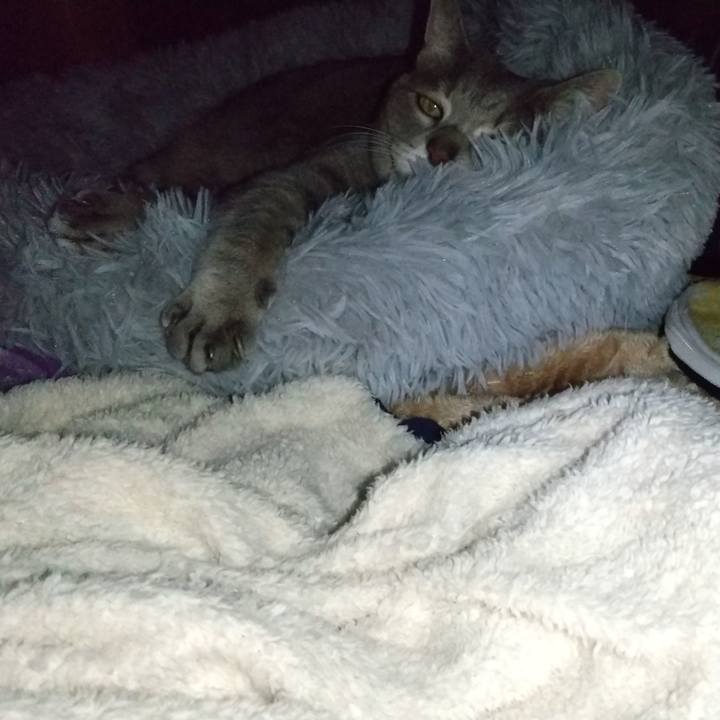 Abd0b957 8ec0 4938 b85d cfe6e1931cfd 1640510475311