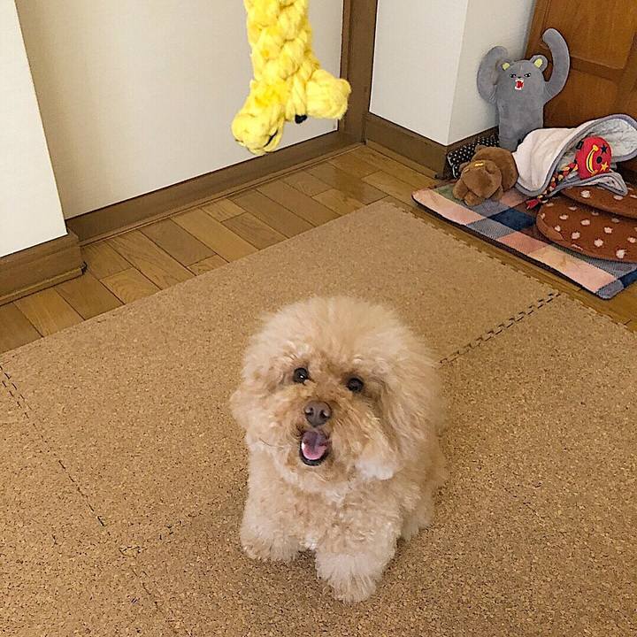 Abd0ecc4 7697 4061 9ada 0f6497368f9c 1527238011189