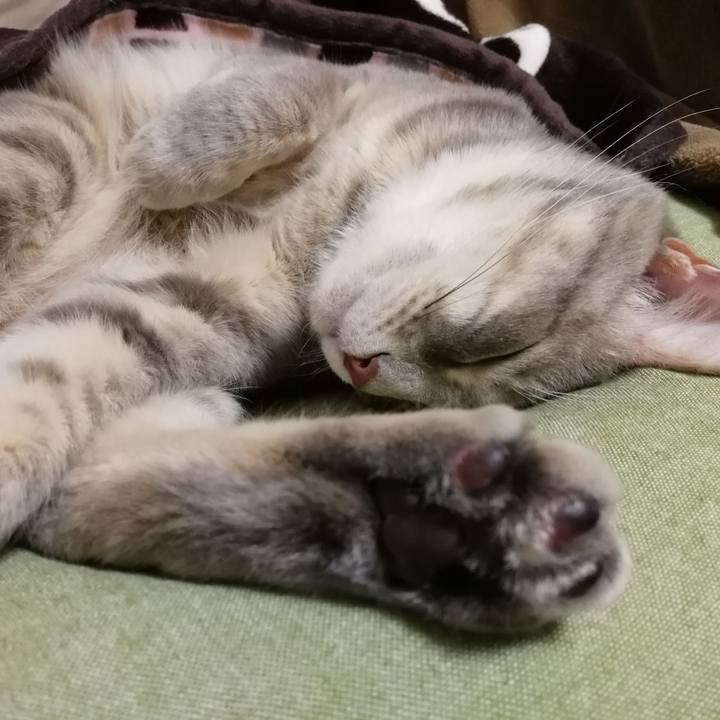 Abd112a6 c1ff 4e44 8714 26d3c7e95b38 1523021561390