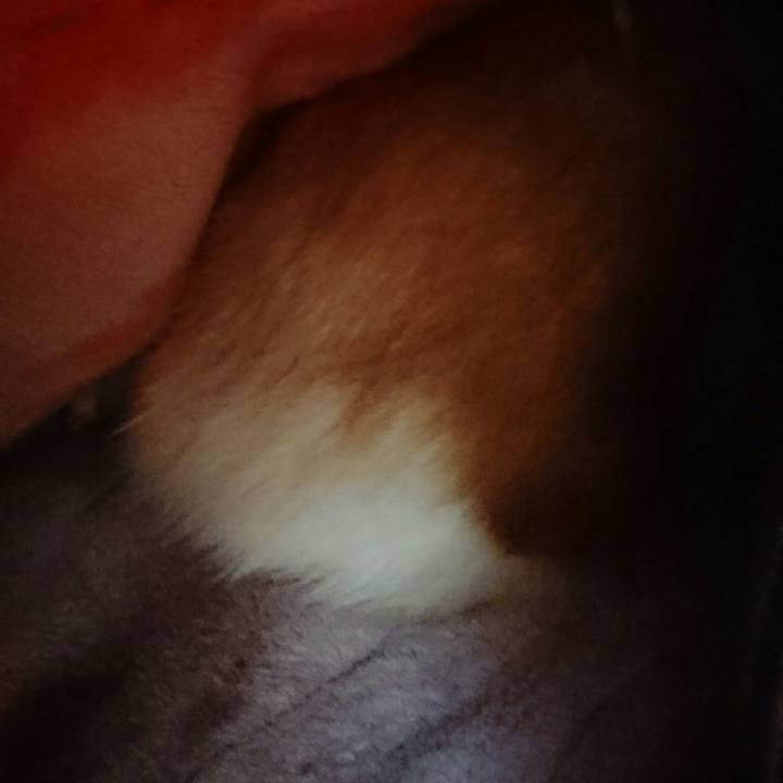 Abd1225c c239 4d6b 95e4 aa90a9a7cd37 1510042609986