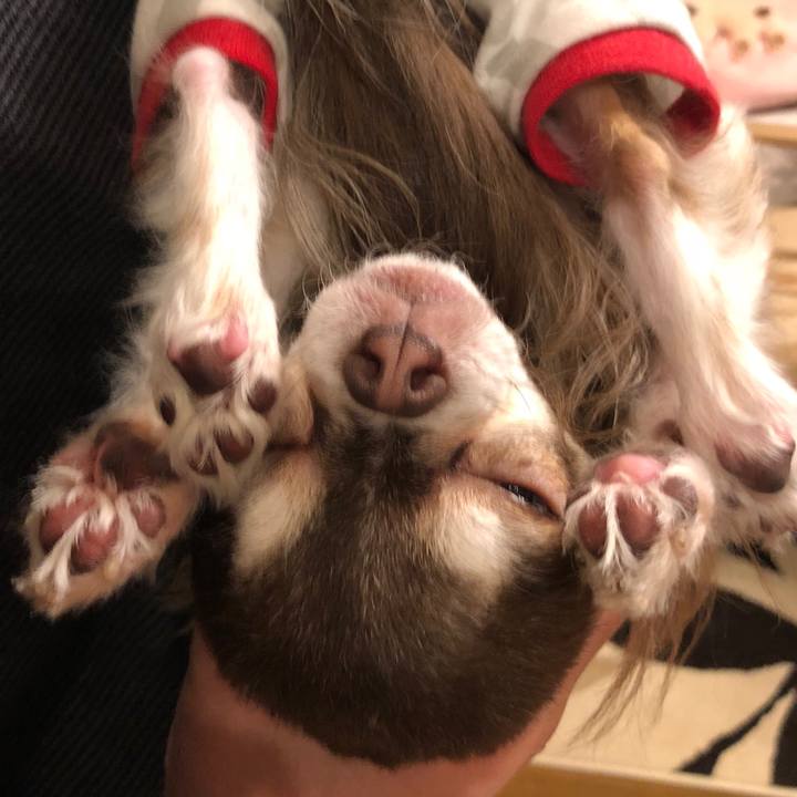 Abd12770 c6cb 43a5 8ca3 0c1ef033206b 1517839641510