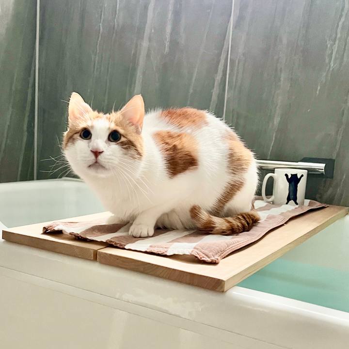 Abd13595 460b 4398 bc86 bb2b8d1b0f84 1770776861787