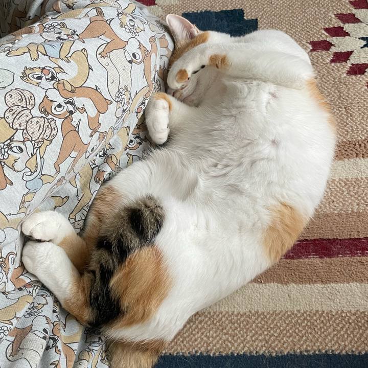 Abd13605 d187 458f b78a b04739328acb 1661124819777