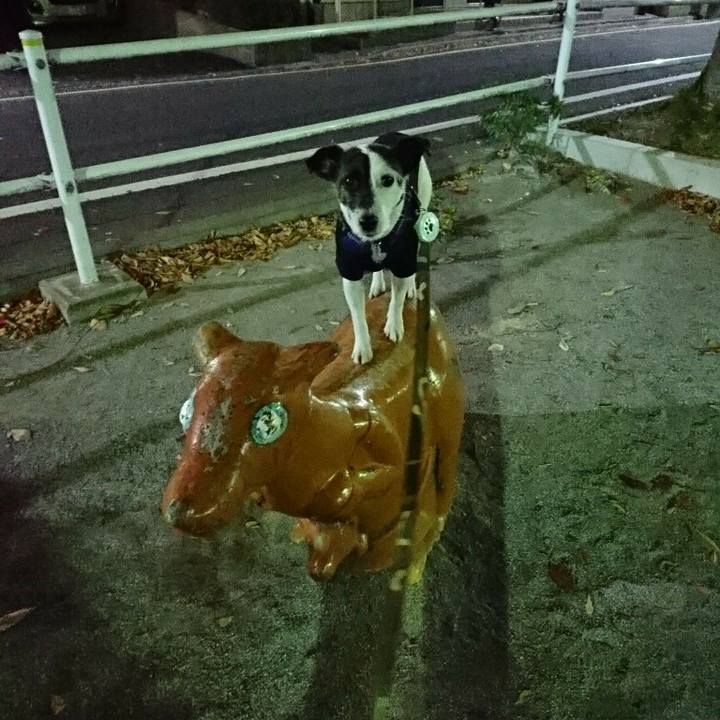 Abd153b7 ab1f 45ff 84bb 00196e66e8c9 1511788918806