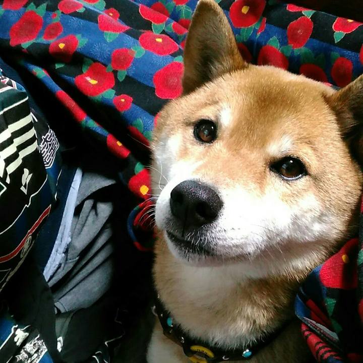 Abd15d1a 8e6d 44c9 b58d dd59208dbda8 1550403809987