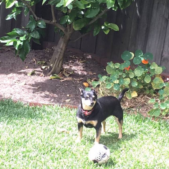 Abd1d16e b375 430b b566 4fda1cc99853 1758499706423