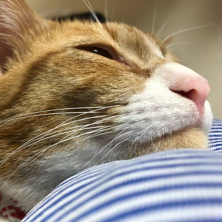 Abd1fd60 ec5a 4055 83a8 f6a80e23fc6b 1562838763617