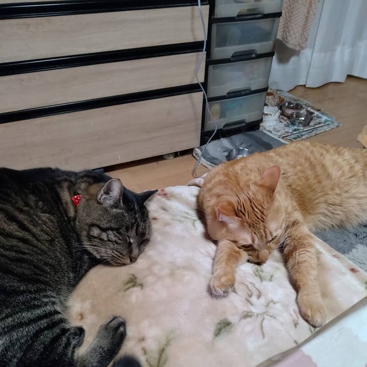 Abd20a68 3b86 43c9 9580 bcb88ee94b6e 1674104923621