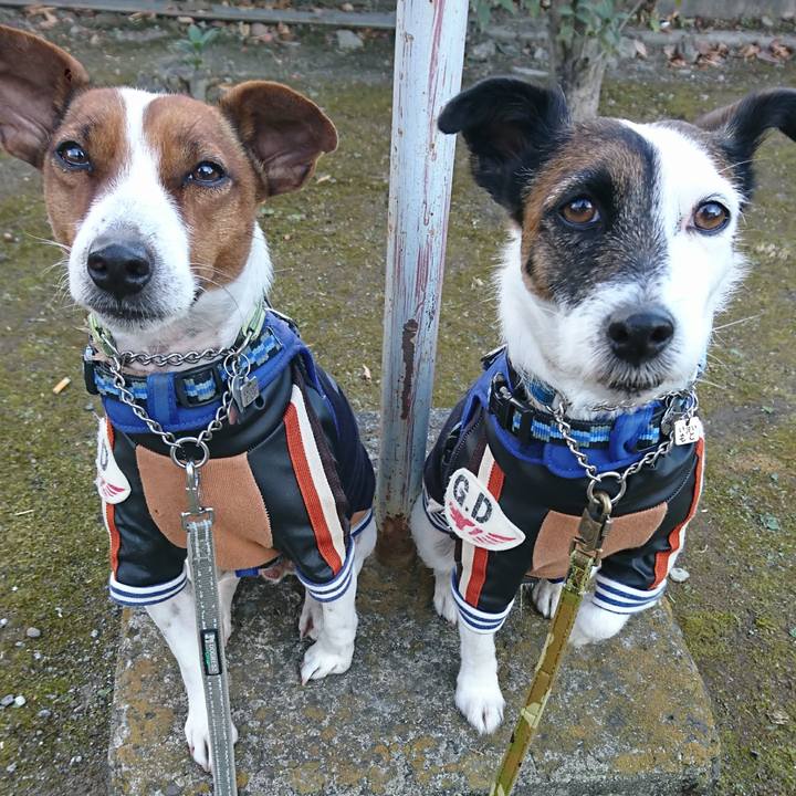 Abd23d35 7fba 4f55 ad14 cf4b0d6ce996 1608594240609