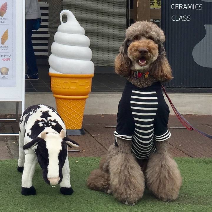 Abd241b2 f7f9 40ff aa73 9b711ad94739 1539675910810