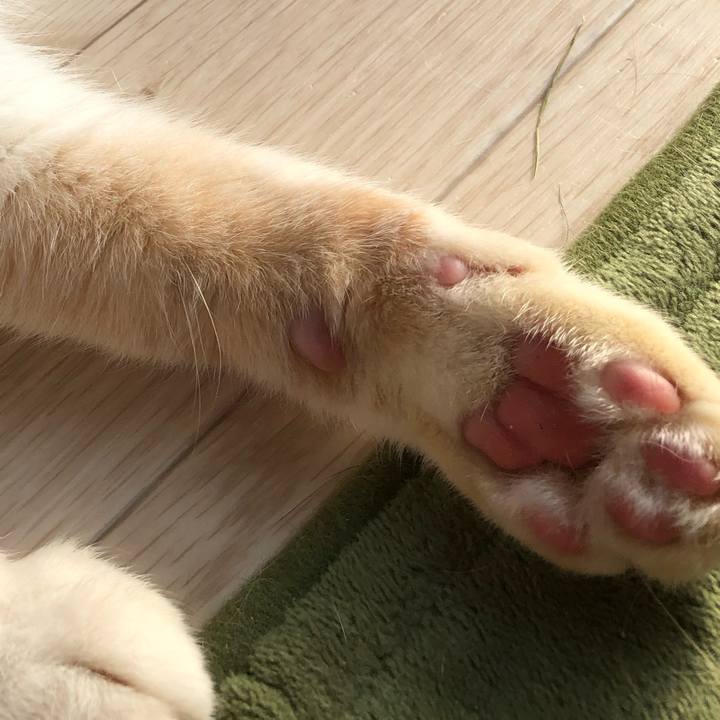 Abd28652 829b 432a 8f3d d2770b3b6c2f 1559121577983