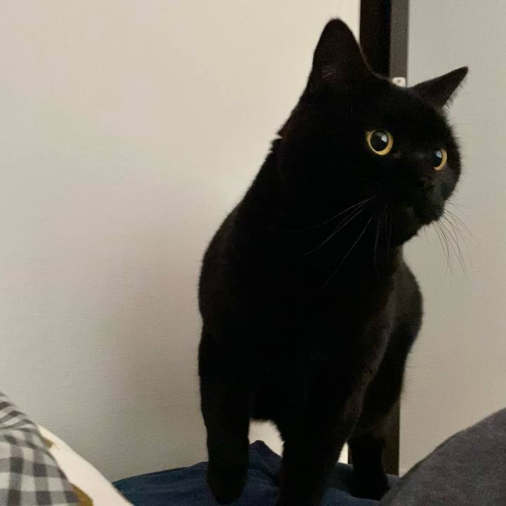 Abd2b776 02e4 4d76 9258 16c22163fb15 1736415530437