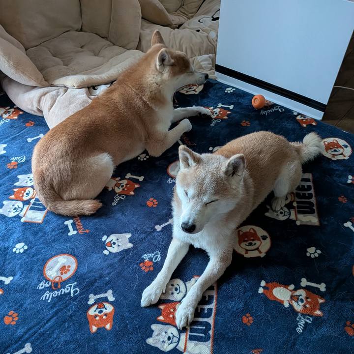 Abd30c96 da8c 47f4 9a54 2e0d80161dfc 1767751327919