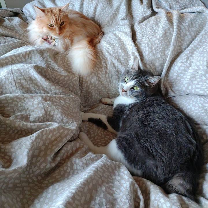 Abd3121e 1b07 4c99 a0f3 abf7f646e6da 1712790405338