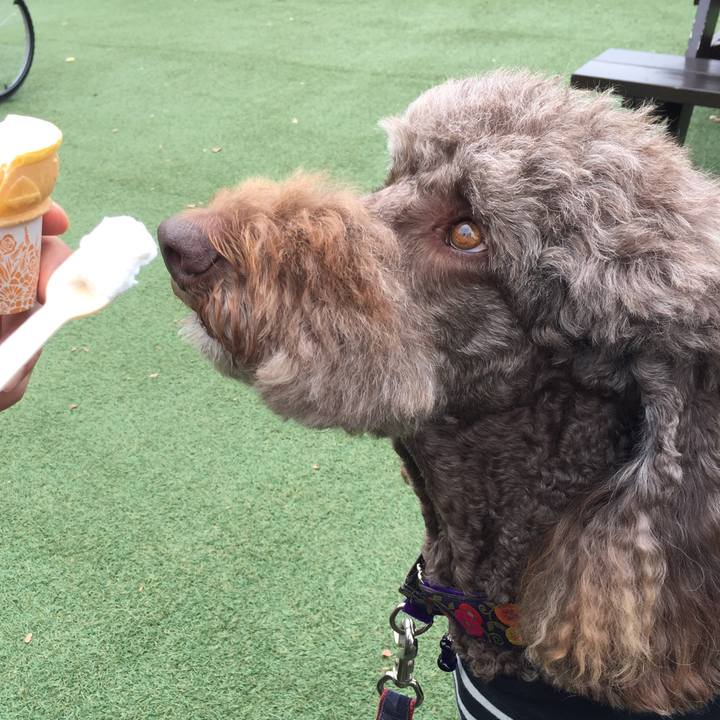 Abd31c93 0e8b 47c2 b8a7 69bfd70e43b9 1539676084385