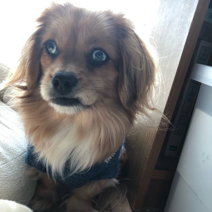 Abd327d7 99ee 4e34 8f80 2efab6703ae9 1550370822166