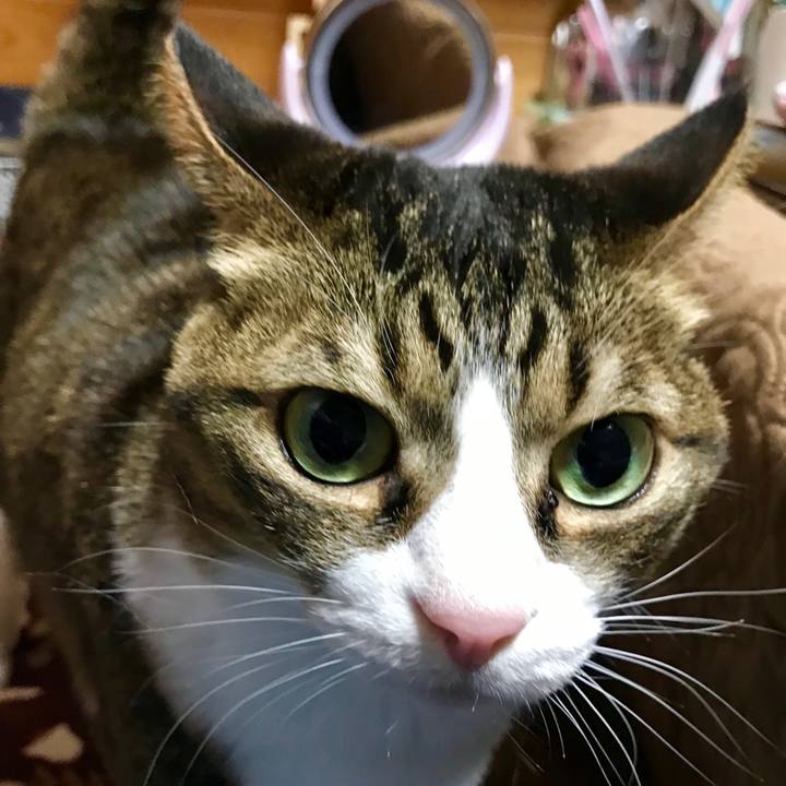 Abd355a0 0310 4f64 9b23 7ec6d38d1510 1550319790124