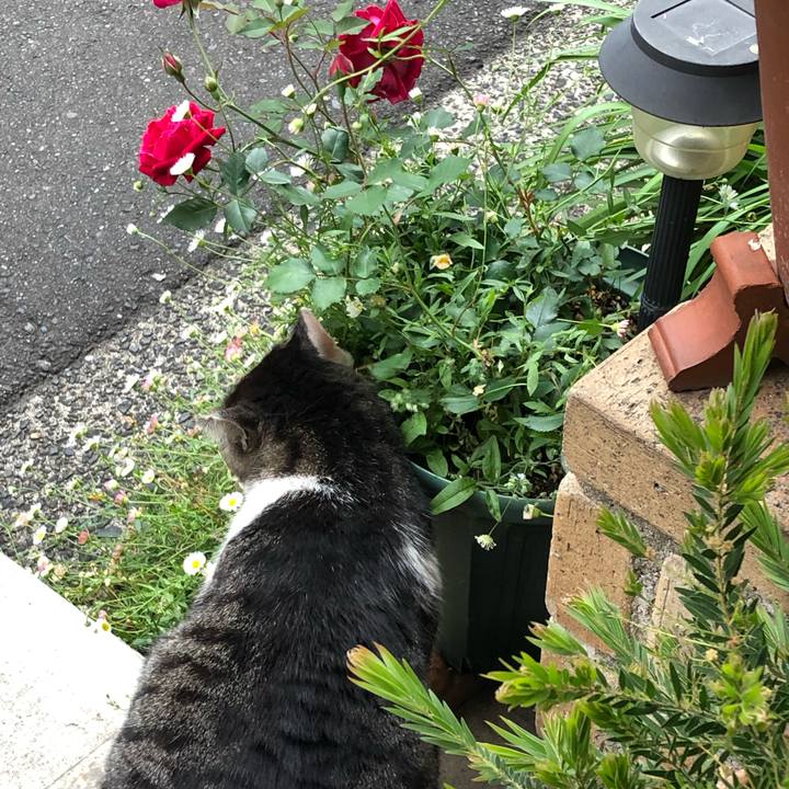 Abd35b5f 6bb3 4f5e be4a 759643f66f77 1557736752802