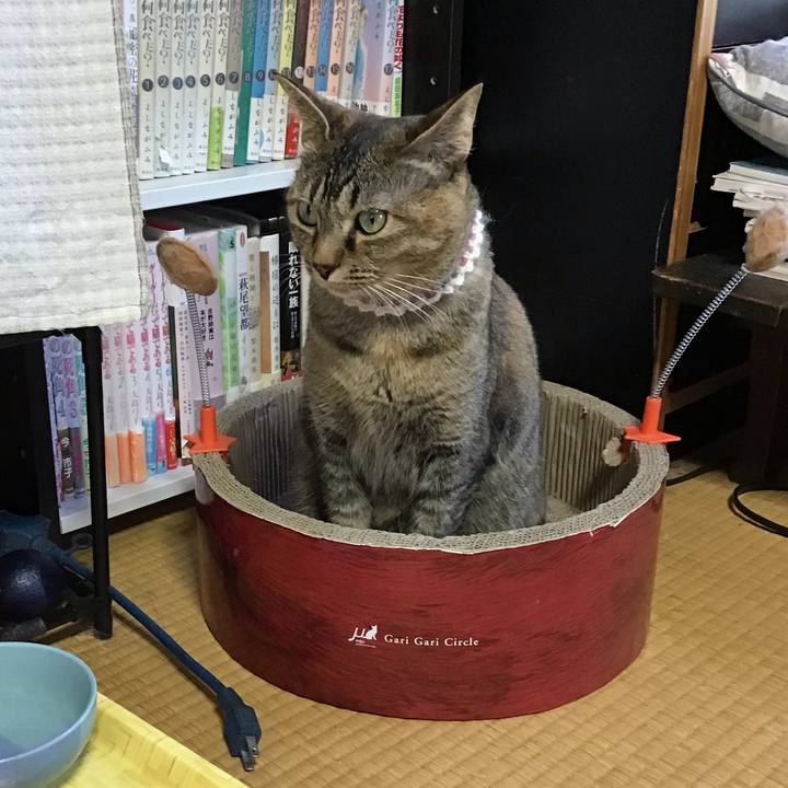 Abd35c95 75a3 4748 8cc7 d5cddabad3ec 1650616318770