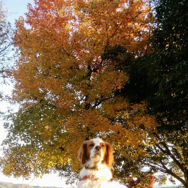 Abd35e62 593d 4579 91f6 07a12f9d2be7 1545652661171