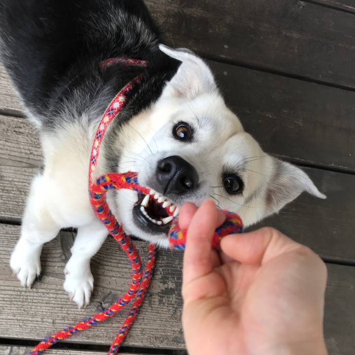 Abd37591 bb44 4ecd b1e3 5cf969aad704 1548046266557