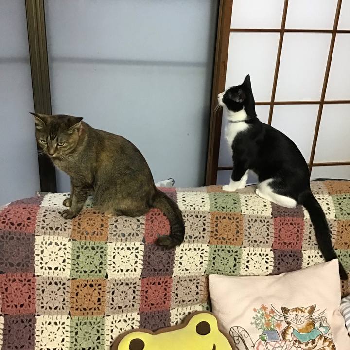 Abd3f9ed 4f74 46ea a751 78226fa3bcdd 1634028924831