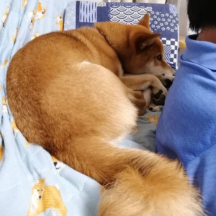 Abd3fc69 838c 4ed3 a4c5 166c012fed45 1626608714054