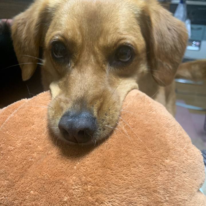 Abd3fdb7 1239 4160 b713 65187296e764 1619216500306