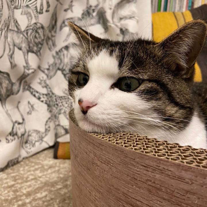 Abd4073d 262c 4d05 9c21 f9248255e0c1 1641809425069