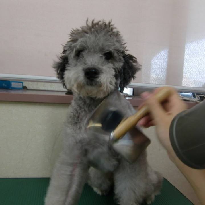 Abd4172f 90c0 4a8d b754 14035a15630b 1691981313457