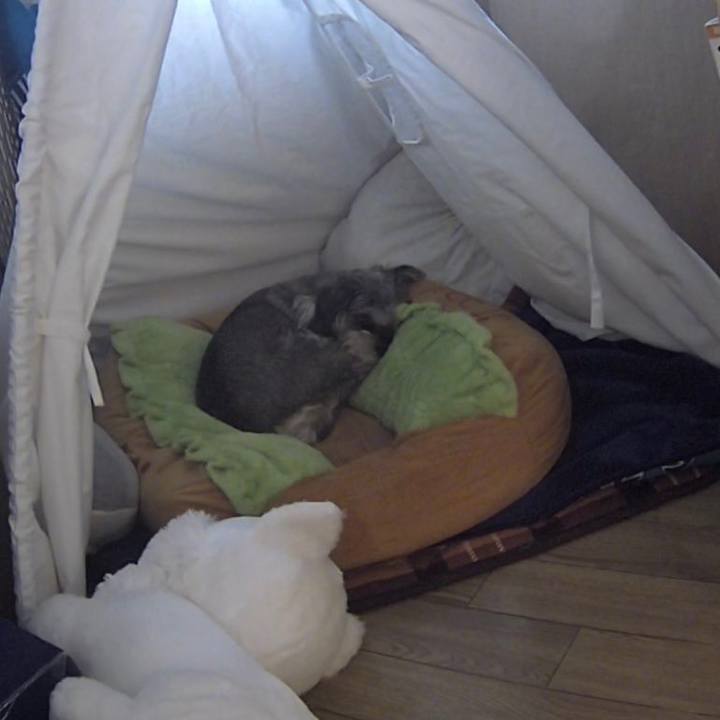 Abd41b3d 41c4 4499 9e77 c8552d0efce0 1637663053192