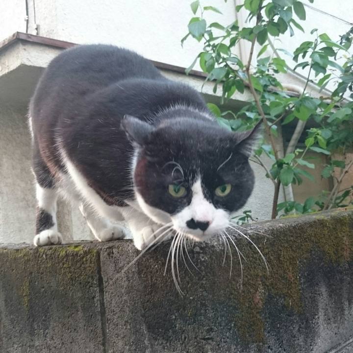 Abd42bb4 5eca 47e7 824c 8ead1fb7724b 1524042486371